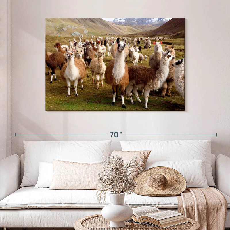 Brampton, lamas et alpagas, H 32 po x l 48 po
