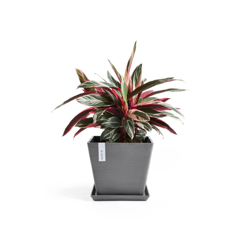 Jardinières en pot, H 15,75 po x l 15,75 po x P 13,78 po, gris