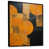 Black Floater Framed