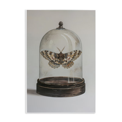 Moth in Glass Cloche Wall Plaque Art by Petal Prints Design