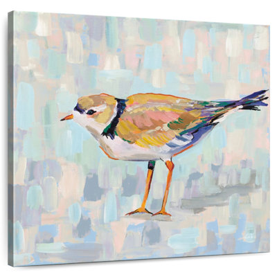 Crowle Coastal Plover IV Neutral