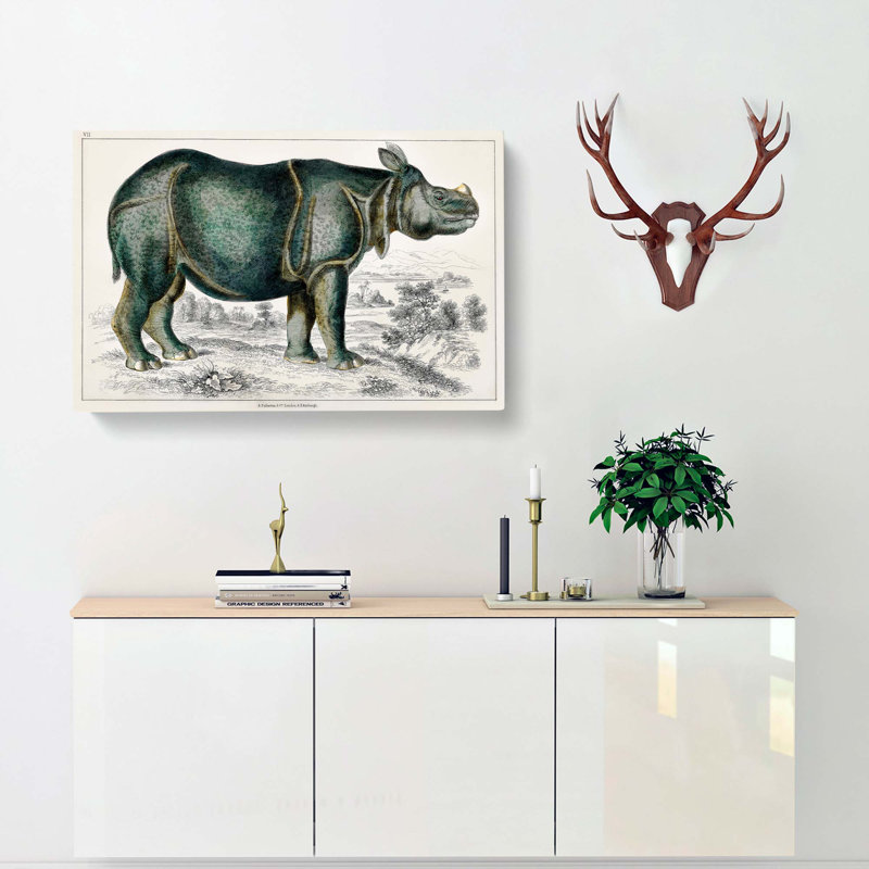 Rhinoceros Illustration by Oliver Goldsmith - Wrapped Canvas Print, 40cm H x 60cm W x 3cm D