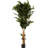 72'' Faux Ficus Tree in Pot