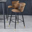 Blanchester Upholstered Counter Stool with Metal Frame