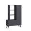 Armoire à chaussures moderne anthracite 100% mélamine, panneau de particules, 31,5 x 47,6 x 12,4 pouces | Plusieurs tablettes pour un rangement supplémentaire | Conception élégante et fonctionnelle pour l'organisation de vestibules et de garde-robe-1600694099