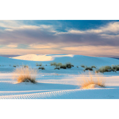Posterazzi " USA New Mexico White Sands National Park Sand Dunes And Dry Grasses At Sunrise " by Jaynes Gallery