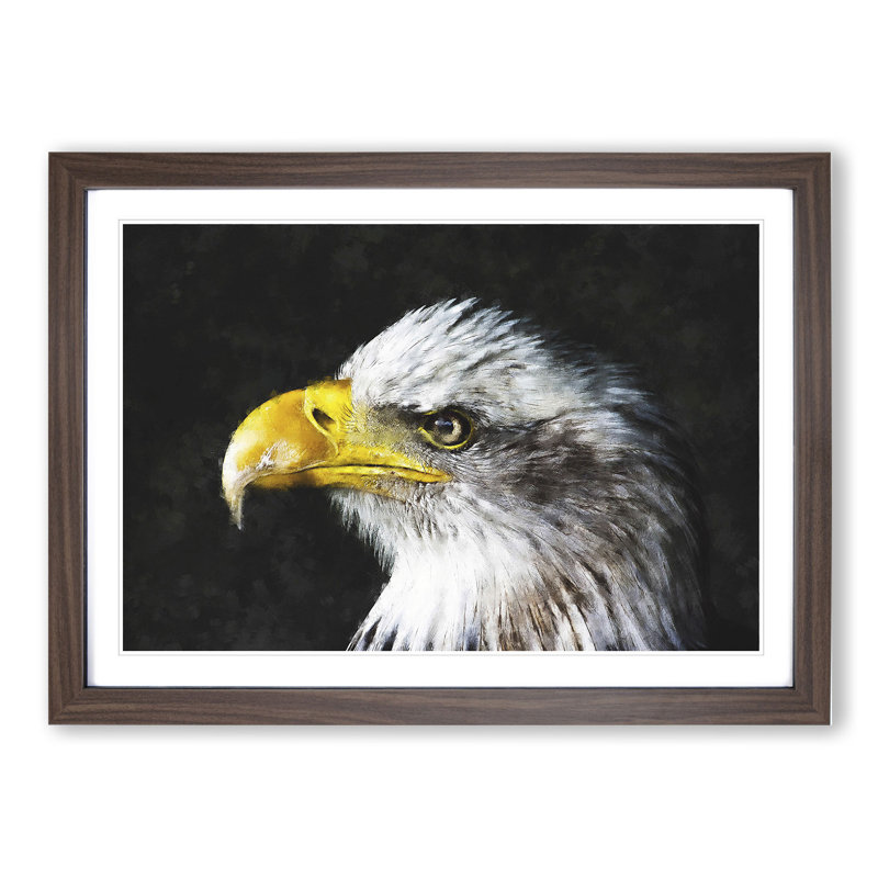 Bald Eagle Vol.1 - Picture Frame Painting, 27cm H x 36cm W x 2cm D, Walnut Framed