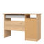 Raha Computer Desk