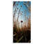 «Daydream Botanical Meadow», conception par Decent Exposures-494743582