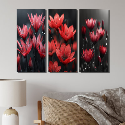 Monochromes rouges, noirs, pissenlits, gouttes de pluie