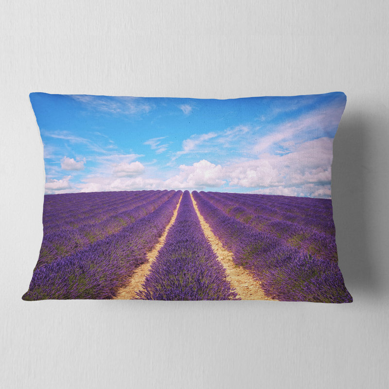 Coussin lombaire Schafer