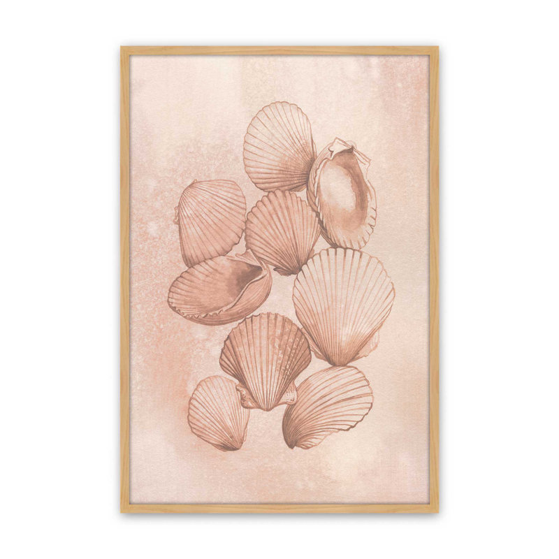 «Saltwater Shell Study II» par Grace Popp, reproduction d'art, H 30 po x l 20 po, Tanné