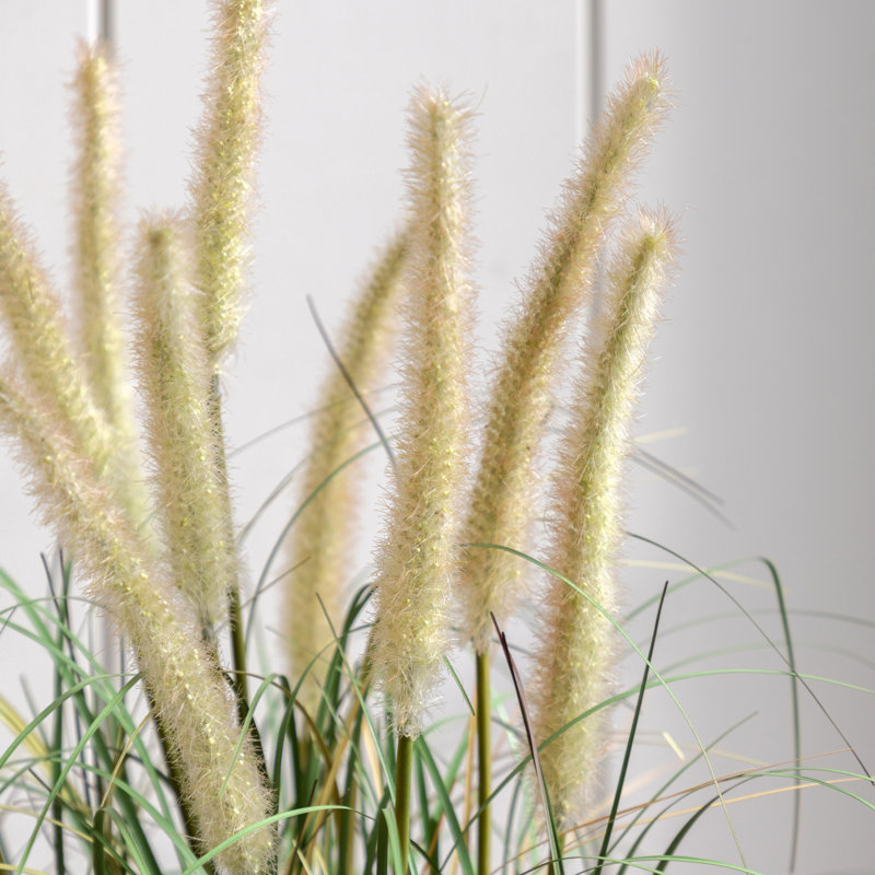 Potted Grass with Cattail Seed Heads (5pk), 57'' H x 43'' W x 43'' D