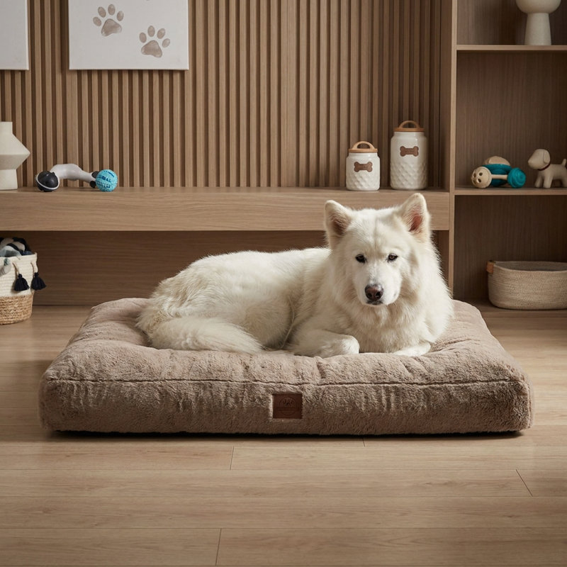 Lit pour chien à deux tons avec traversin DreamListro, 22.8" W, Vison