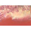 Guiltless Print by Blakely Bering-26924716-26924714