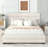 Eastampton Upholstered Storage Platform Bed-514530225