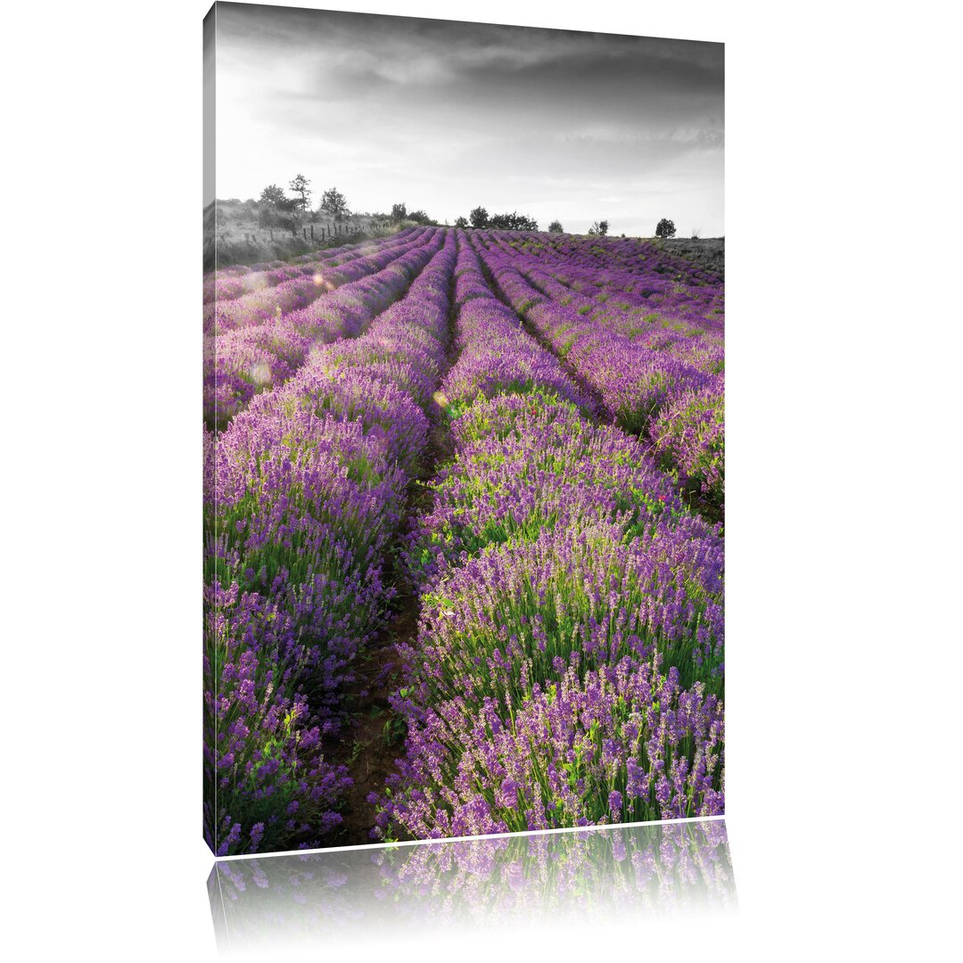 Leinwandbild Lavendelfeld Provence, Fotodruck