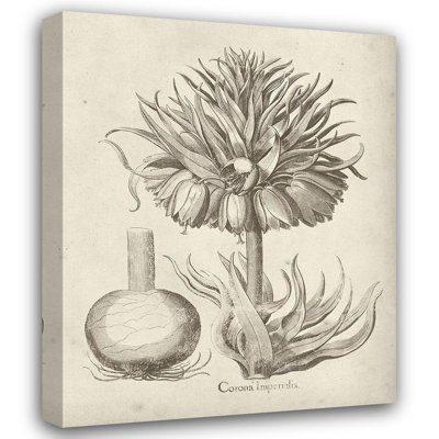 Art sur toile tendue Red Barrel Studio® Vision Studio Gallery: Fresco Crown Imperial II