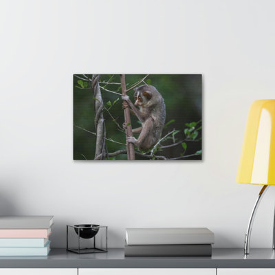 No Frame Print on Canvas