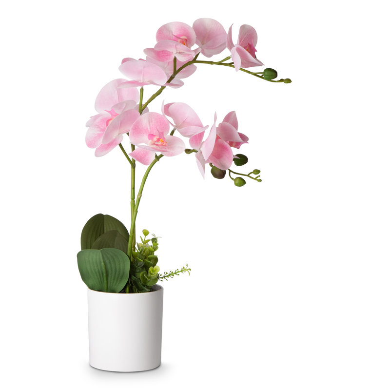 Arrangement de soie orchidée en pot, Rose