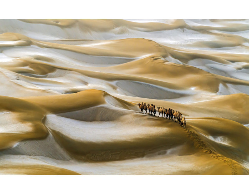 Wrapped Canvas Print, 60.96 cm H x 91.44 cm W