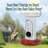 Birdbuddy Smart Solar Pro Hummingbird Feeder With Camera + Extra Base