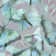 Tetlin Seamless Pattern With Butterflies by Olgaaltunina - Wrapped Canvas Print
