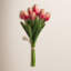 Fausse tulipe Tucson-1761452375-1761452368