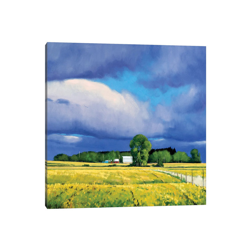 September Fields Lowry MN by Ben Bauer - Wrapped Canvas Painting, 45.72 cm H x 45.72 cm W x 1.91 cm D