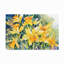 Toile extérieure Annelein Beukenkamp «Daffodil Party»-87944913
