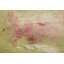 "not getting old" par jennifer jorgensen, reproduction d’art sur toile tendue-16030139