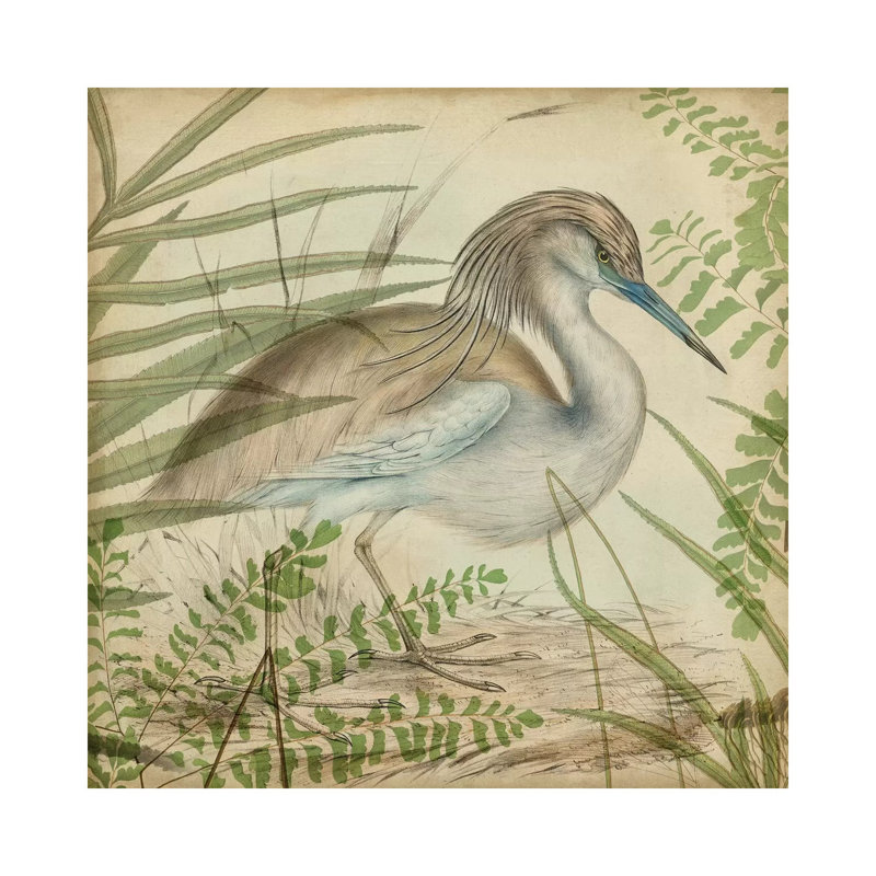 Heron & Ferns II by Vision Studio - Wrapped Canvas Painting, 93.98 cm H x 93.98 cm W x 1.91 cm D