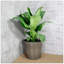 Jardinière Shaian-1695443545-1695443546