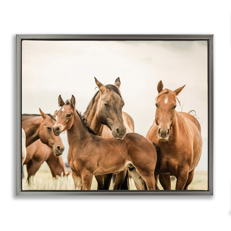 Cheval et poulains, reproduction d'art sur toile, H 17 po x l 21 po, Cadre flottant gris lustré