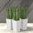 Spacious White Planters Set, Durable Polyethylene For Modern Decor