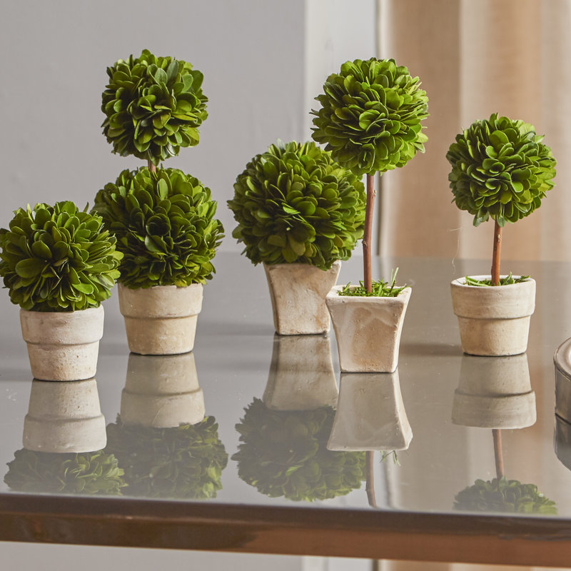 Fread 7'' Boxwood Topiary in Ceramic Pot