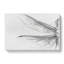 Dragonfly Vol.1 Sketch - Wrapped Canvas-61881584