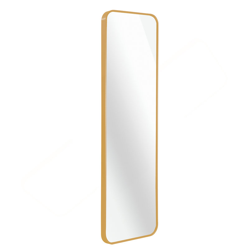 Miroir de porte doré 47 x 14 po.