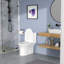 Toilette une pièce Rainlex RX-T38W