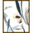 Image Brush Gel selected