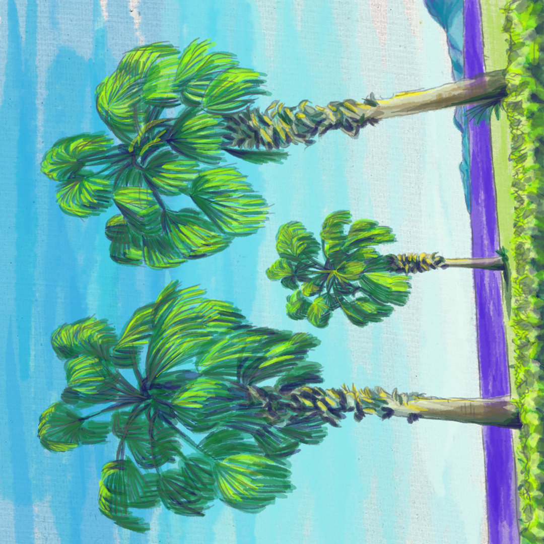 Leinwandbild - Palm Trees