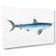 Porbeagle Shark by Edward Donovan - Wrapped Canvas-55322643
