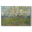 Le verger blanc-Vincent van Gogh-Toile tendue avec châssis-1888-316232227