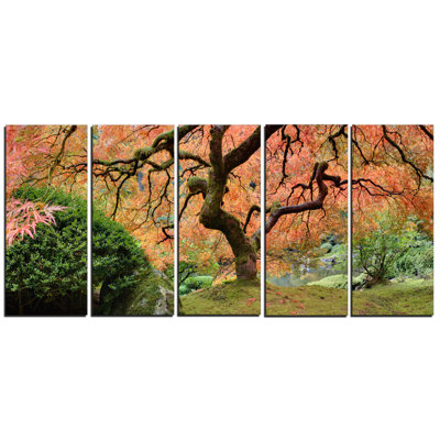 Old Japanese Maple Tree Landscape 5 Piece Photographic Print on Wrapped Canvas Set
