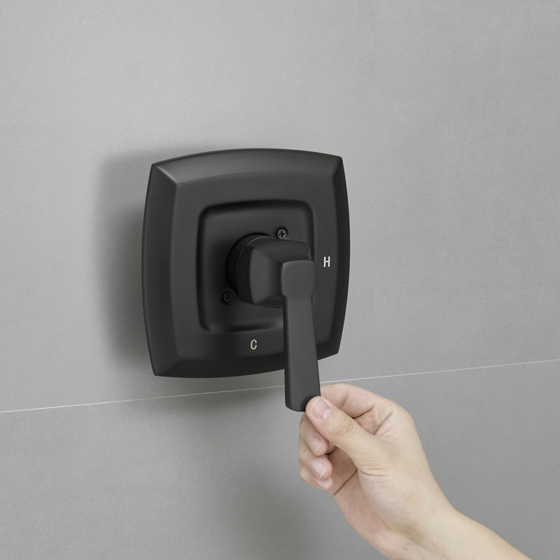 Shower Faucet, Matte Black