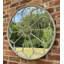 Arijana Metal Circle Mirror