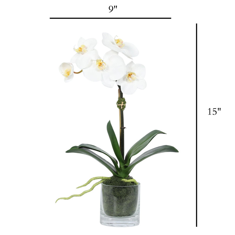 Orchid Arrangement In Glass Vase, White