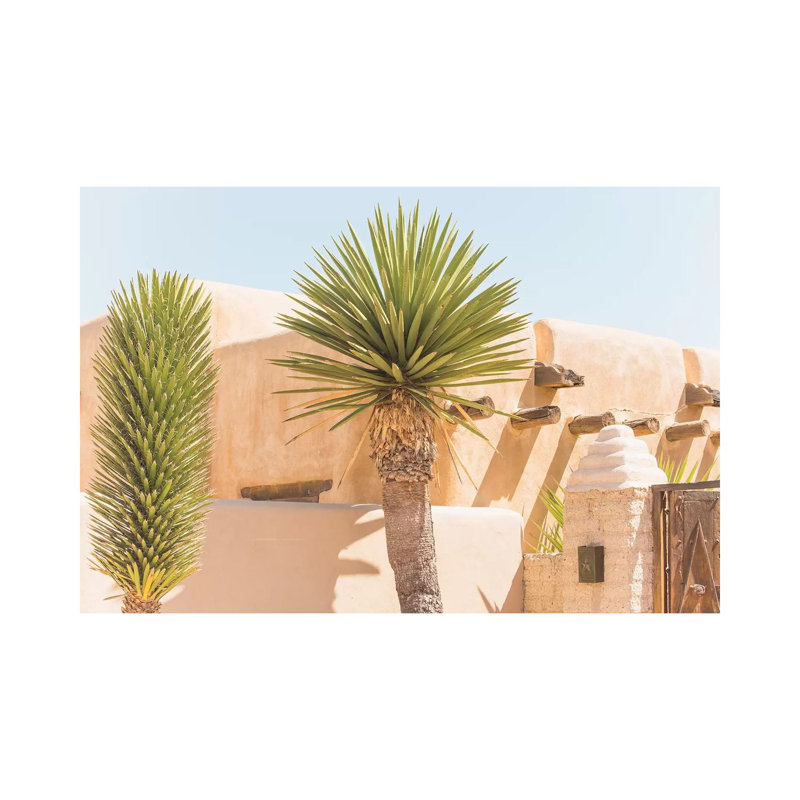 Oasis by Ann Hudec - Wrapped Canvas Print, 20.32 cm H x 30.48 cm W