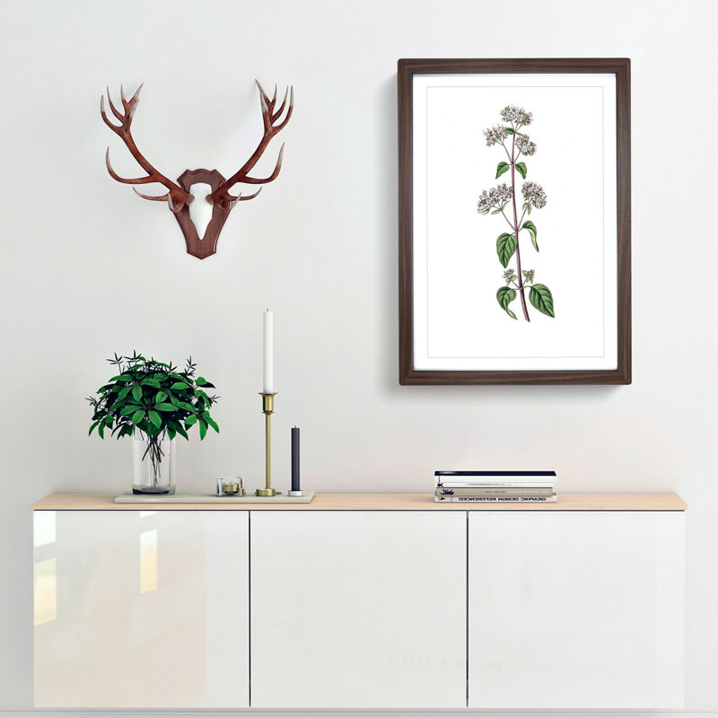Oregano Flowers Illustration - Framed Print, 36cm H x 27cm W x 2cm D, Walnut Framed