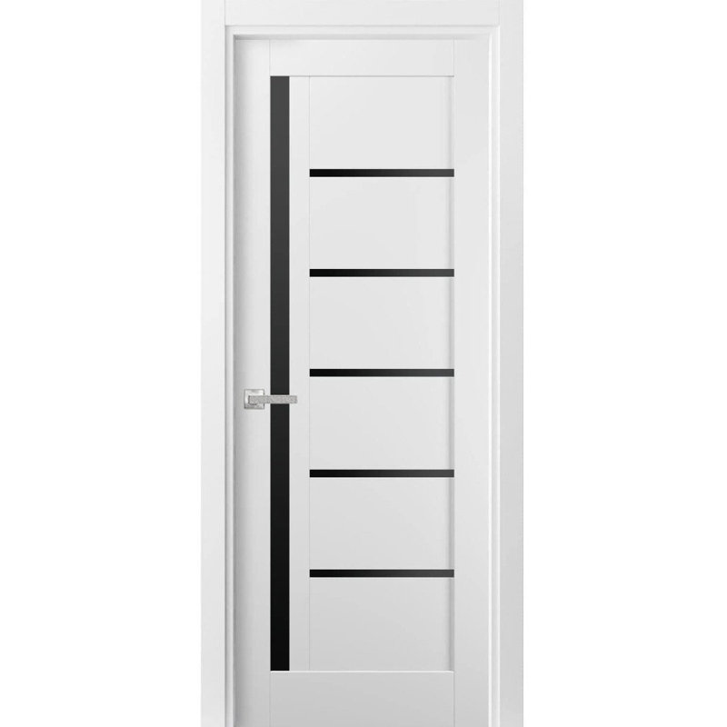 Porte française unie à l'intérieur | Quadro 4588 avec verre noir | Poignée simple à panneau régulier | Portes de salle de bain robustes